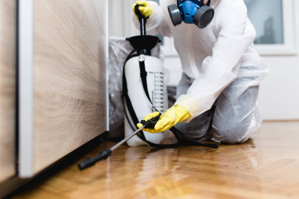 Best Commercial Pest Control Services  in Blue Island, IL