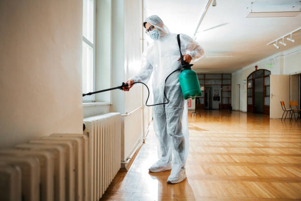 Reliable Blue Island, IL Pest Control Solutions